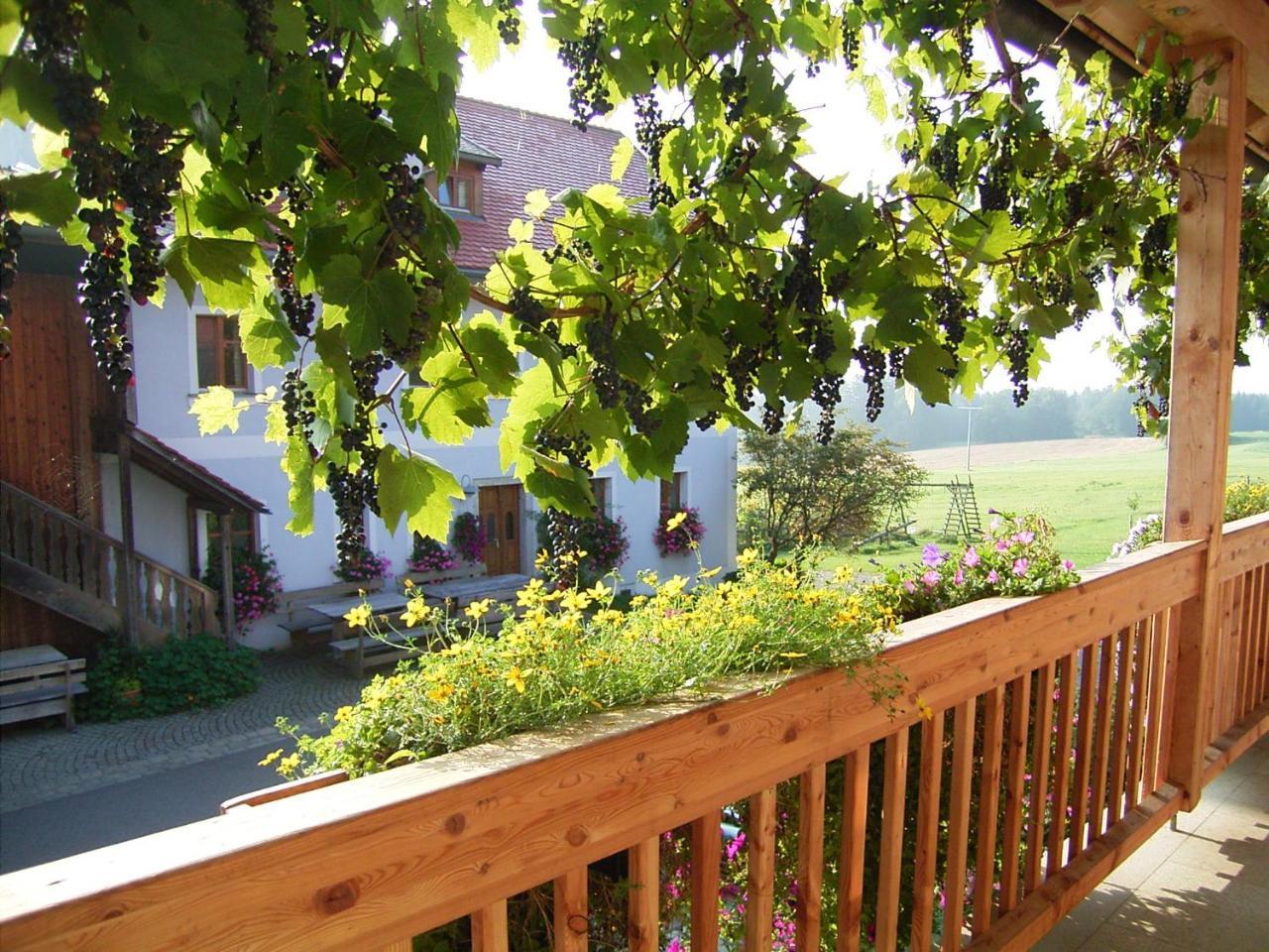 Hanauerhof Schonsee Luaran gambar
